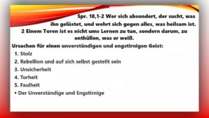 16.10.23 HÜTE DICH VOR EINEM UNVERSTÄNDIGEN UND ENGSTIRNIGEN GEIST - BOT. VON JESUS AN MUTTER ELISABETH